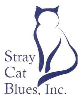 Stray Cat Blues